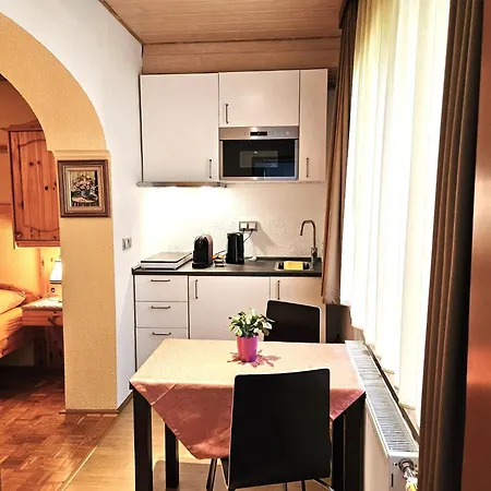 Apartament Zur Therme St.kathrein Bad Kleinkirchheim